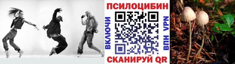 Галлюциногенные грибы Cubensis  Черноголовка 